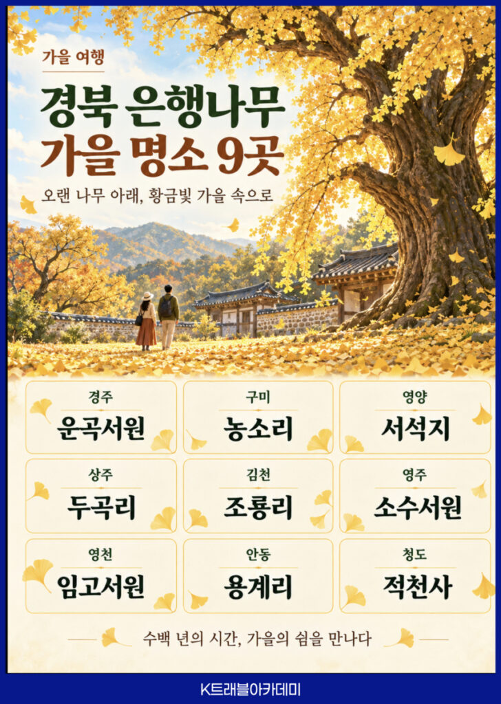 경북 은행나무 가을 명소 9곳 카드 - 경주 운곡서원부터 청도 적천사까지 수백 년 노거수 여행지